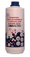 shampoo espuma seca globaltek
