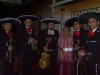 serenatas,mariachis,charros,mariachi sal y tequila serenatas