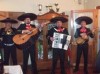 se ofrece servicio de mariachis en santiago