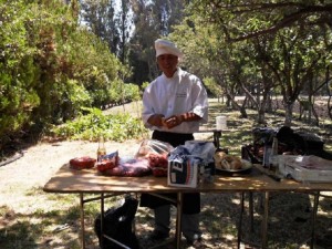 servi Turismo en Chile en Santiago |  Mozos garzones a domicilio, Garzonservi