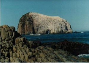 LUIS MARIN SERENA VIAJES Turismo en Chile en Santiago |  Tour en tren constituci&oacute;n, pelluhue, curanipe, iloca y duao, Un viaje de nostalgia y relajo