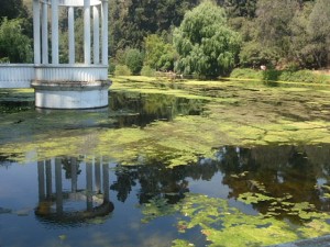 Jos&eacute; Tom&aacute;s Liberona Turismo en Chile en Valpara&iacute;so |  Tour / cicloturismo en el jard&iacute;n bot&aacute;nico., ... una mirada sobre pedales ...