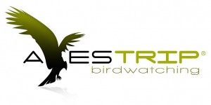 Juan Carlos Jara Turismo en Chile en Valpara&iacute;so |  Turismo avestrip, servicios tur&iacute;sticos todo incluido para grupos, Tours grupales, empresas, colegios, tercera edad.