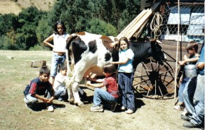 Ernesto Turismo en Chile en Santiago |  Actividad incluida x arriendo semana caba&ntilde;a campo r&iacute;o angol , Vacaciones, campo, r&iacute;o, pesca, cabalgatas, botes, paseo carreta buey