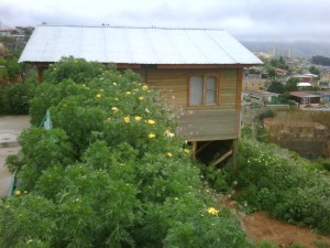 patricia Turismo en Chile en Vi&ntilde;a del Mar |  4.000.000 caba&ntilde;a 46 mts solo 8 meses de uso dos dormitorios, Retirar en vi&ntilde;a del mar