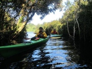 Alternatur Turismo  Turismo en Chile en Puerto Montt |  Kayak de traves&iacute;a en puerto montt - puerto varas - ensenada, Kayak puerto montt, kayak puerto varas, kayak ensenada