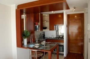 chris Turismo en Chile en Santiago |  Arriendo dptos amoblados en providencia y en bellas artes, Dias / semanas / meses