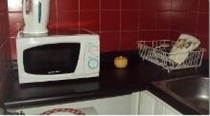 M&oacute;nica Balut Turismo en Chile en Santiago |  Departamento amoblado $20.000 metro bellas artes por d&iacute;as y meses., Departamento amoblado $20.000 en el metro bellas artes por d&iacute;as y mese