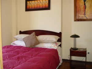 privadep Turismo en Chile en Santiago |  Departamento amoblado arriendo por dias en santiago centro, Departamento en santiago