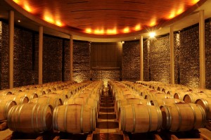 manuel quiroz Turismo en Chile en Santiago |  Private wine tours in chile, south america, Let�s taste chile