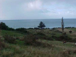  Turismo en Chile en Puerto Montt |  Se venden propiedades en Isla Tenglo, con hermosa vista al mar , excelentes propiedad en un sector con un potencial Tur&iacute;stico 