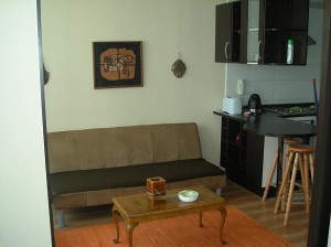 deptomarin Turismo en Chile en Santiago |  Arriendo departamentos amoblados en santiago centro,metro univ catolic, Metro univeridad catolica