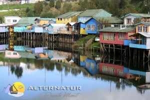 Alternatur Agencia Turismo en Chile en Santiago |  Tours & excursiones en puerto varas - chilo&eacute; - petrohue - frutillar, Tours, excursiones, paseos, viajes, salidas, eventos