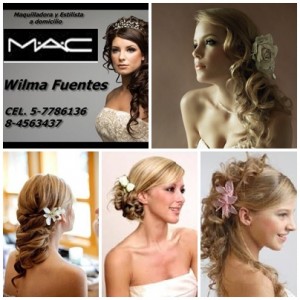 Wilma Fuentes Studer Turismo en Chile en Santiago |  Peinados y maquilalje mac a domicilio santiago, Especialista novias, madrinas, pajes, graduaciones