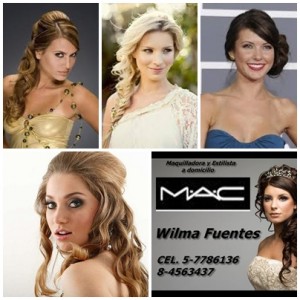 WILMA FUENTES STUDER Turismo en Chile en Santiago |  Graduacion peinados y maquillaje a domicilio santiago, Manicure, pedicure, limpieza facial, ondulado y tinte pesta&Ntilde;as