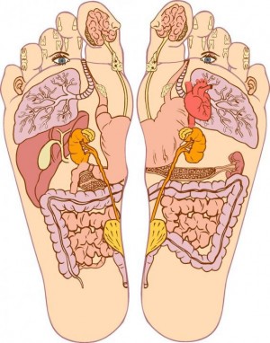SAMIRA Turismo en Chile en Providencia |  Reales masajes relajantes,energizantes,suaves y sensuales te esperamos, Providencia