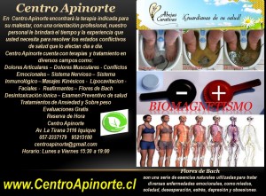 Centro Apinorte Turismo en Chile en Iquique |  Terapias complementarias alternativas y naturales en iquique, Terapias naturales en iquique
