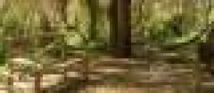 Richard Turismo en Chile en Pisco Elqui |  Casa en pisco elqui, 3 dormitorios, para 8 personas, Casa en arriendo pisco elqui