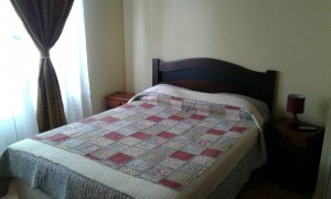 ricardo Turismo en Chile en Santiago |  25.000 arriendo departamento full equipado en santiago centro, Arriendo por dias,alojamiento, centro,excelente,amoblado