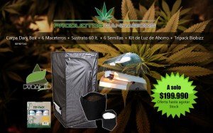 Productos Cannabicos Puerto Montt Turismo en Chile en Puerto Montt |  Grow shop en puerto montt productos cannabicos, Grow shop puerto montt, insumos para cultivo puerto montt