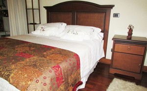 Urania Balut Turismo en Chile en Providencia |  Departamentos amoblados providencia (arriendos por dias)  , Arriendo