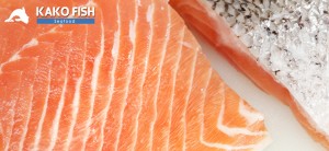 kako fish Turismo en Chile en Puerto Montt |  Comercializadora de productos del mar puerto montt, Comercializadora de productos del mar puerto montt