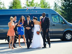 VIAJES AL CARRETE Turismo en Chile en Vi&ntilde;a del Mar |  Viajes especiales en transporte privado a fiestas,matrimonios,eventos,, Traslados a fiestas,matrimonios,eventos,graduaciones,etc.