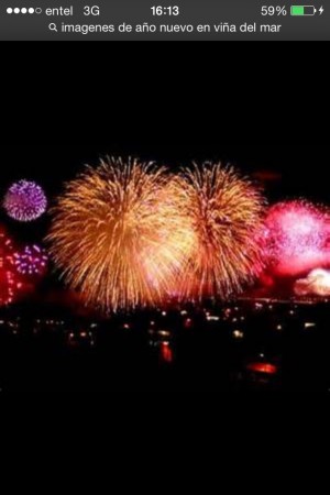 Nelly Daisy  Moreno  Turismo en Chile en Vi&ntilde;a del Mar |  Vi&ntilde;a semana a&ntilde;o nuevo  depto turista, Arriendo depto a&ntilde;o nuevo y veraneo. turistas 