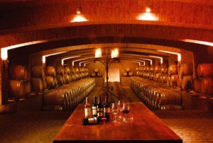 Marcelo Parada Turismo en Chile en Santiago |  Vi&ntilde;edos full day vi&ntilde;a undurraga y concha y toro, Visitas por el dia a vi&ntilde;edos 