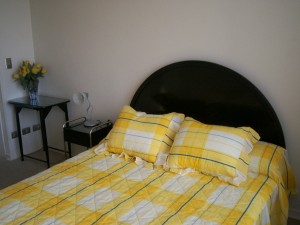  Turismo en Chile en Santiago |  ARRIENDO DEPARTAMENTO NUEVO, AMOBLADO Y EQUIPADO