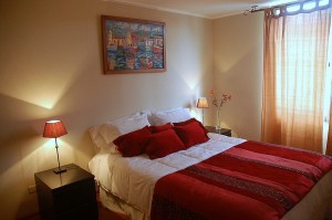 Jan Riega Zamora Turismo en Chile en Santiago |  Departamentos Amoblados- Apart Hotel -Sector Bellas Artes,  Arriendo Departamentos Amoblado por d&iacute;a,semanas y meses.