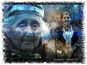 Claudio Tejos Castro Turismo en Chile en Temuco |  En Comunidad con el Pueblo Mapuche, Kutralco Expediciones