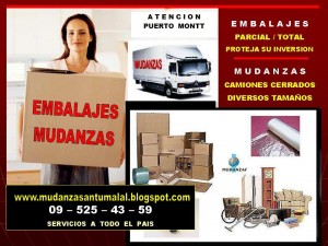 antumlal Turismo en Chile en Puerto Montt |  ANTUMALAL   EMBALAJES   Y   MUDANZAS , MUDANZAS