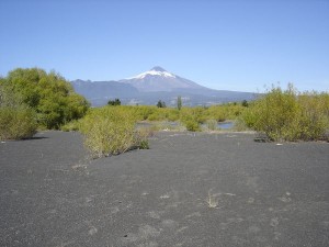 Jos&eacute; Turismo en Chile en Puc&oacute;n |  CAMPO 37 HECTAREAS  EN  PUCON  CON PLAYA, A ORILLA LAGO VILLARRICA