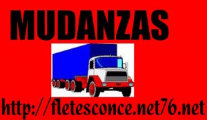  Turismo en Chile en Concepci&oacute;n |  servicios de fletes en concepcion, mudanzas economicas si cooperan en carga y descarga