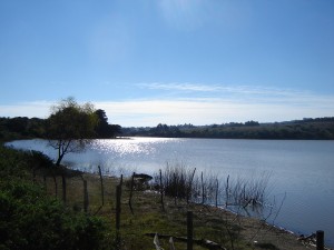 GERARDO RUBIO CONTRERAS Turismo en Chile en Pichilemu |  CAMPING   LAGUNA DEL PERRO , LAGUNA DEL PERRO EN PICHILEMU