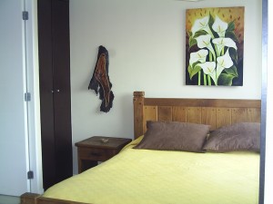  Turismo en Chile en Santiago |  ARRIENDO DEPARTAMENTOS AMOBLADOS.(dia/s,semanas). STGO.CENTRO, VER FOTOS EN P&Aacute;GINA WEB.