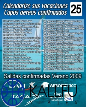 FERNANDO ACEVEDO V Turismo en Chile en Santiago |  VERANO 2009 CON ESPACIOS AEREOS CONFRMADOS, NO SE QUEDE SIN ESPACIOS O PAGE LAS GANAS