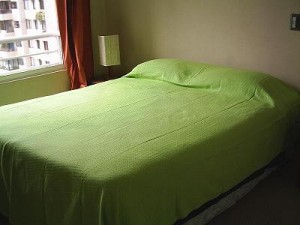  Turismo en Chile en Santiago |  ARRIENDO DEPARTAMENTOS AMOBLADOS(dias,semanas) STGO CENTRO, Santa Victoria - Portugal