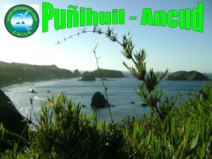 carlos maldonado nenen Turismo en Chile en Ancud |  chiloetour, servicios de  turismo e informaciones