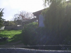 Alfredo Turismo en Chile en El Tabo |  SE VENDE EXCELENTE TERRENO EN LAS CRUCES, TERRENO DE 1.200 MTS2