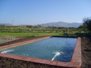 FRIEDEMANN   CONSTRUCCIONES Turismo en Chile en Santiago |  piscinas publicas y privadas  construccion  pisc inas, DESARROLLO DE PROYECTOS  Y EJECUCION