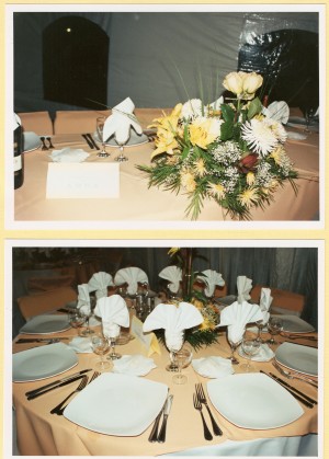 EVENTOS SIGLO XXI Turismo en Chile en Maip&uacute; |  banqueter&igrave;a, c&ograve;ctel-men&ugrave; diferentes valores a&ntilde;o 2008, PRODUCCI�N / ASESORIA  EVENTOS SIGLO XXI, A&Ntilde;O 2008