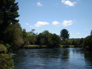 felipe chacon Turismo en Chile en Puerto Varas |  PARQUE CHUCAO ENCANTADO, BOSQUE NATIVO