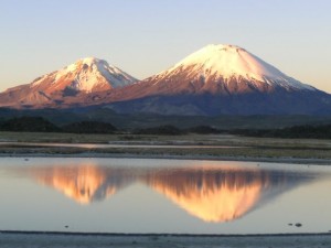  Turismo en Chile en Arica |  Mayuru Tour, Tour Operator of the Chilean Altiplano