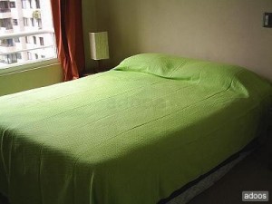  Turismo en Chile en Santiago |  Departamentos amoblados ofrezco en arriendo (d&iacute;as, semanas) Stgo. centro, Santa Victoria con Portugal�METRO UNIV. CATOLICA