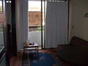 Rosa Riquelme Turismo en Chile en Santiago |  ARRIENDO DEPARTAMENTOS AMOBLADOS.(dia/s,semanas)SANTIAGO CENTRO, Sector Universidad Cat&oacute;lica