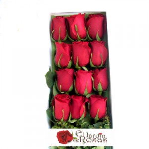eljardinderosas Turismo en Chile en Santiago |   www.eljardinderosas.cl Despacha Gratis a Domicilio, Cajas,Ramos,Arreglos,Cestas,Desayunos,Floreros y Muchas Mas...