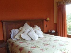 Andres Abalos Turismo en Chile en Puerto Varas |  Hostal Helmut Haus, Se sentira como en un Hotel 4 estrellas pero al precio de una Hostal