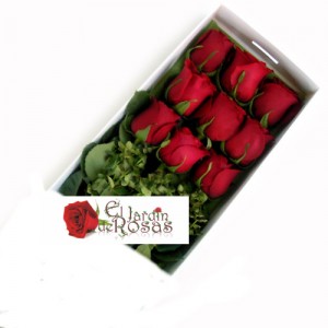 eljardinderosas Turismo en Chile en Providencia |  Rosas desde $13.900, Enviamos Gratis a Domicilio Ramos,Cajas